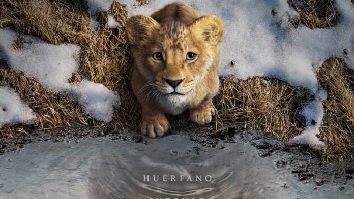 Primer tráiler de Mufasa El Rey León que llegará a cines en Diciembre