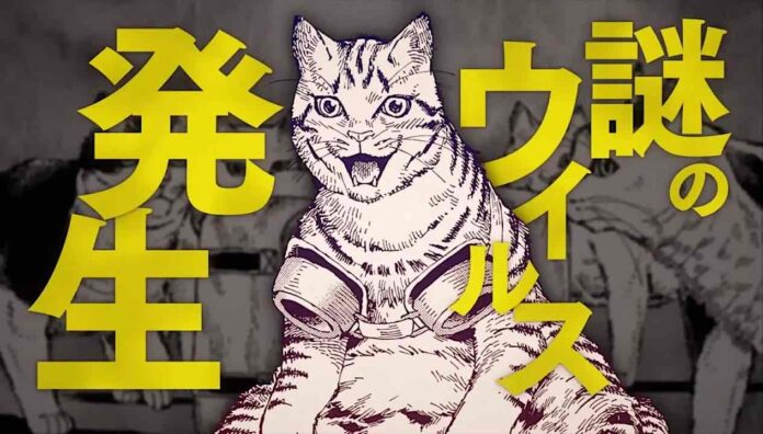 Novedades en el anime Night of the Living Cat