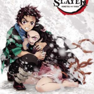 Póster Demon slayer