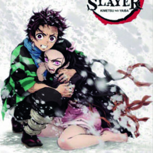 Póster Demon slayer