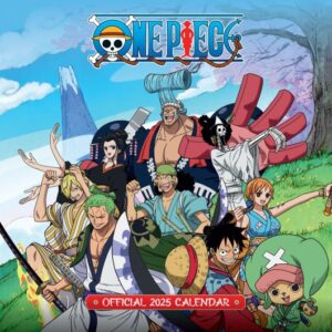 Calendario One piece