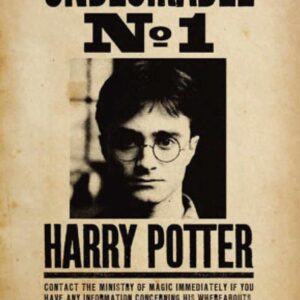 Póster HARRY POTTER. Ref. 56.