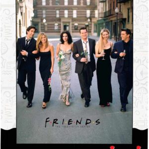 Puzzle de 500 piezas Friends Boda