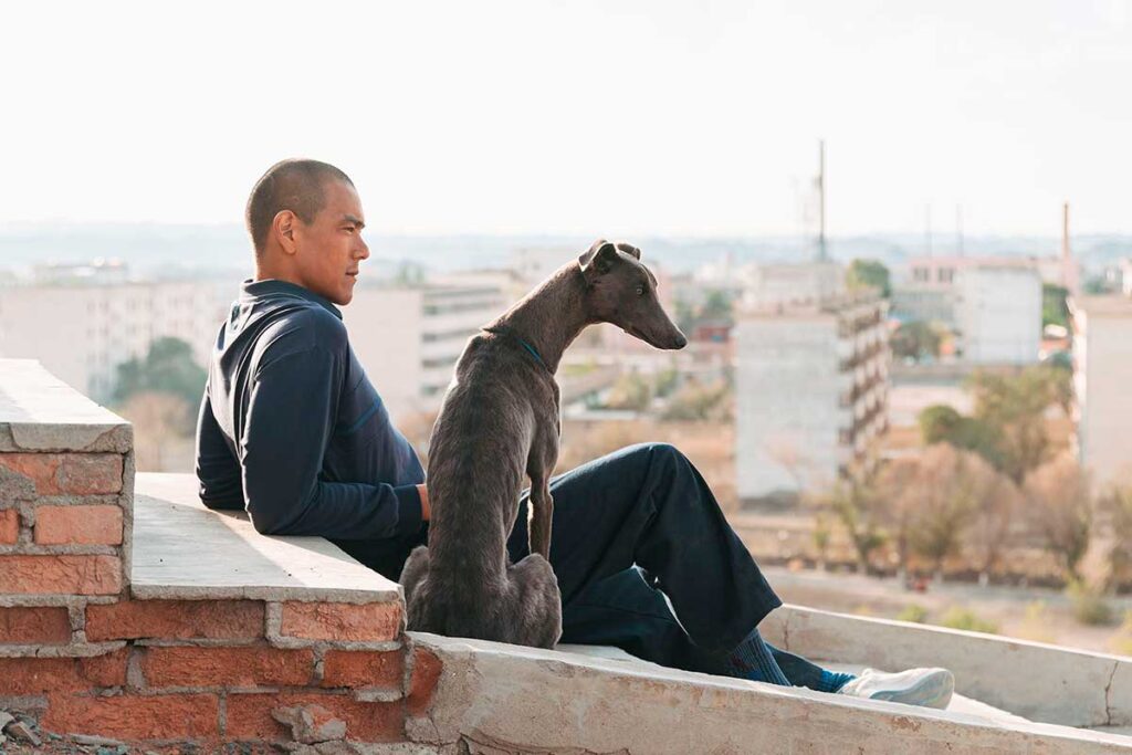 Crítica Black Dog ★★★★ (2025) La clásica historia de amistad entre el hombre y el perro