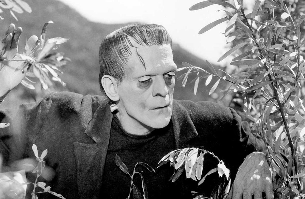 Las 10 mejores películas de Frankenstein 1 Las 10 mejores películas de Frankenstein