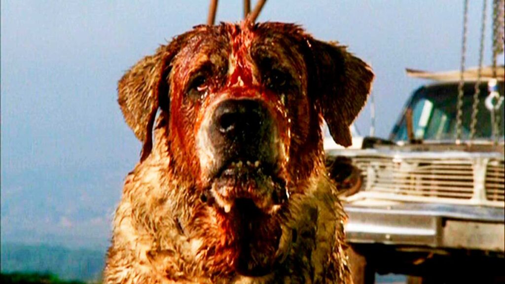 15 de las mejores adaptaciones de terror de Stephen King 5 adaptaciones de terror de Stephen King: Cujo