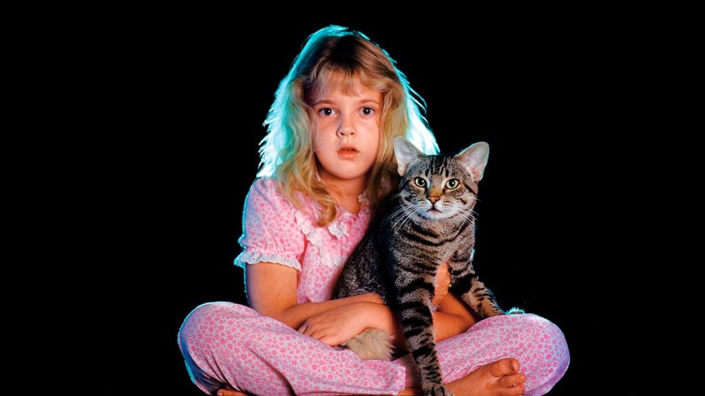 15 de las mejores adaptaciones de terror de Stephen King 9 adaptaciones de terror de Stephen King: Los ojos de gato