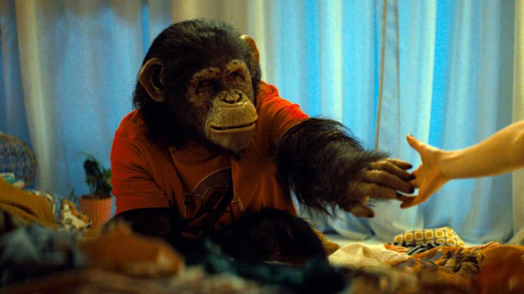 Crítica de Primate ★★★½ Diversión gore 2 Crítica de Primate