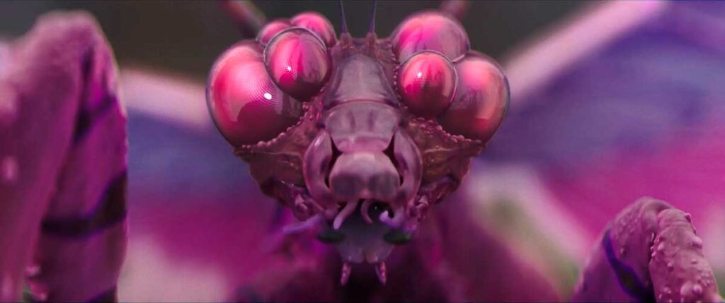 10 películas sobre hongos, plantas y virus del espacio exterior 10 10 películas sobre hongos, plantas y virus del espacio exterior